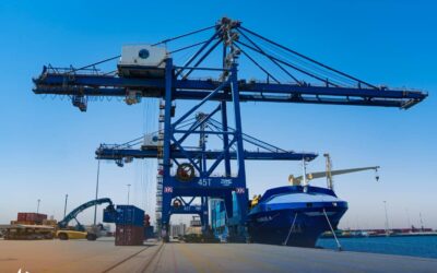 في ثالث أيام العيد تتواصل أعمال المناولة بوتيرة متسارعة